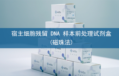 宿主细胞残留 DNA 样本前处理试剂盒(磁珠法)